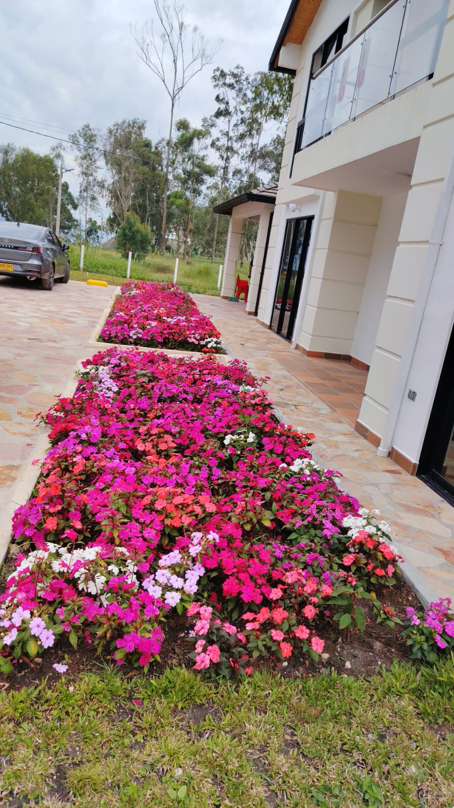 Jardines y flores en Mesa de los Santos